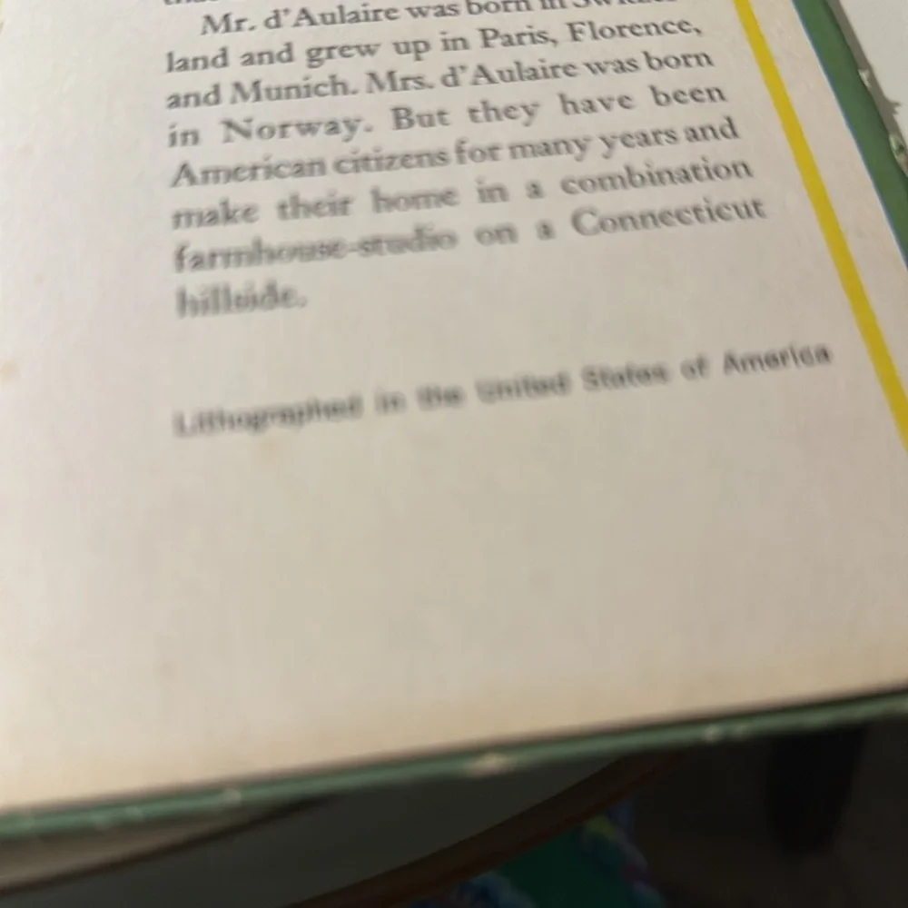 The Magic Meadows Book vintage